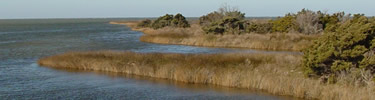 Pamlico Sound and marsh grass